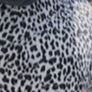 Meet your Posher, Jace